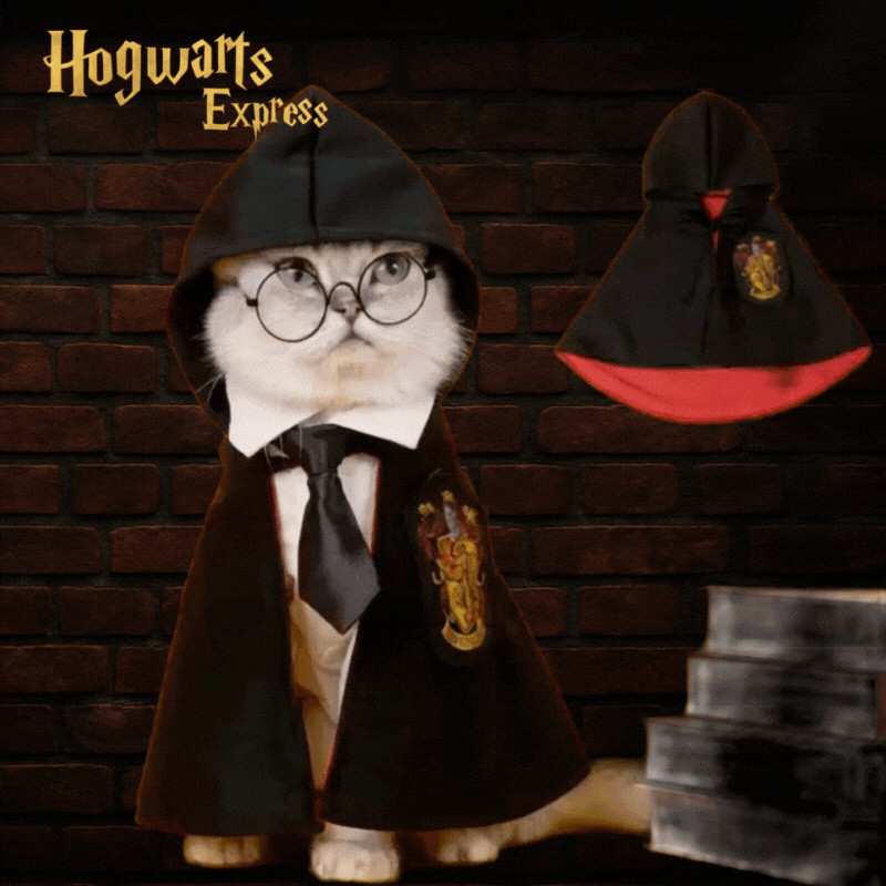 Manto de Hogwarts para Pets