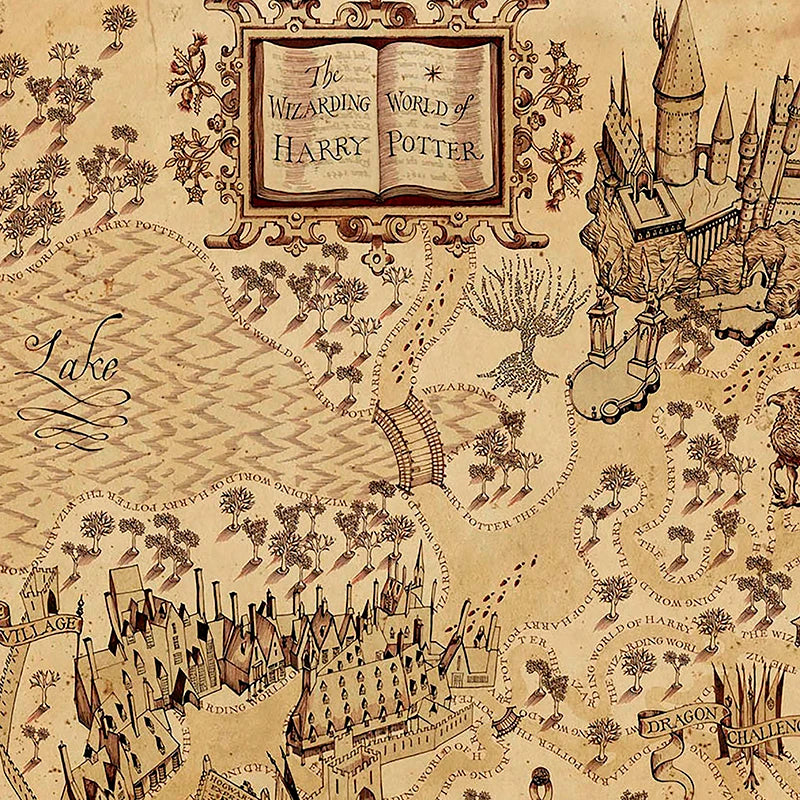 Mapa do Mundo Mágico™ – Canvas Vintage do Castelo de Hogwarts™ (60x90 cm)