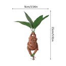 Mandragoora de Resina Premium - Decoração Mágica Harry Potter para Casa e Jardim - Hogwarts™ Express