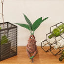 Mandragoora de Resina Premium - Decoração Mágica Harry Potter para Casa e Jardim - Hogwarts™ Express