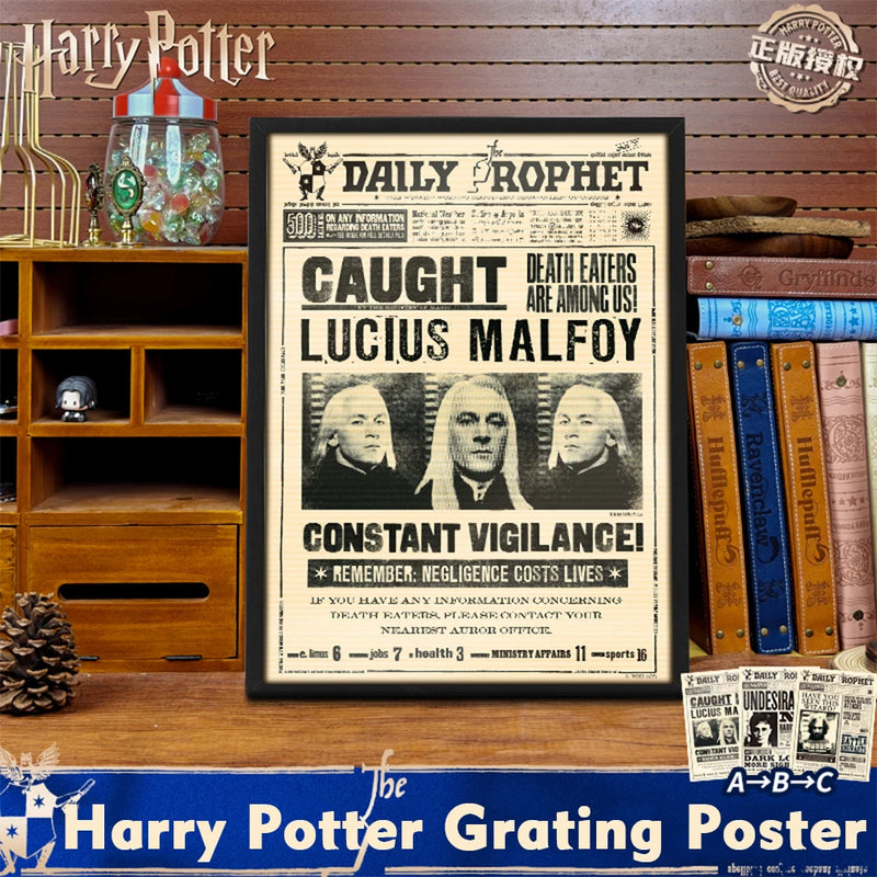 Quadro 3D Sirius Black — Have You Seen This Wizard?