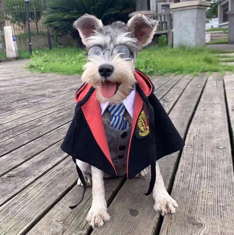 Manto de Hogwarts para Pets - Hogwarts™ Express