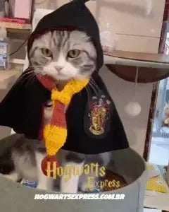 Manto de Hogwarts para Pets - Hogwarts™ Express