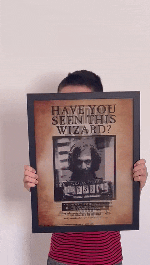 Quadro 3D Sirius Black — Have You Seen This Wizard?